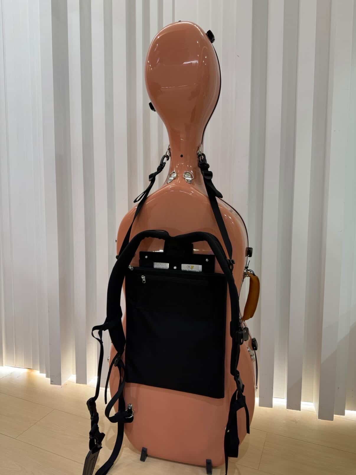 Alpha Case 背部背負系統參考